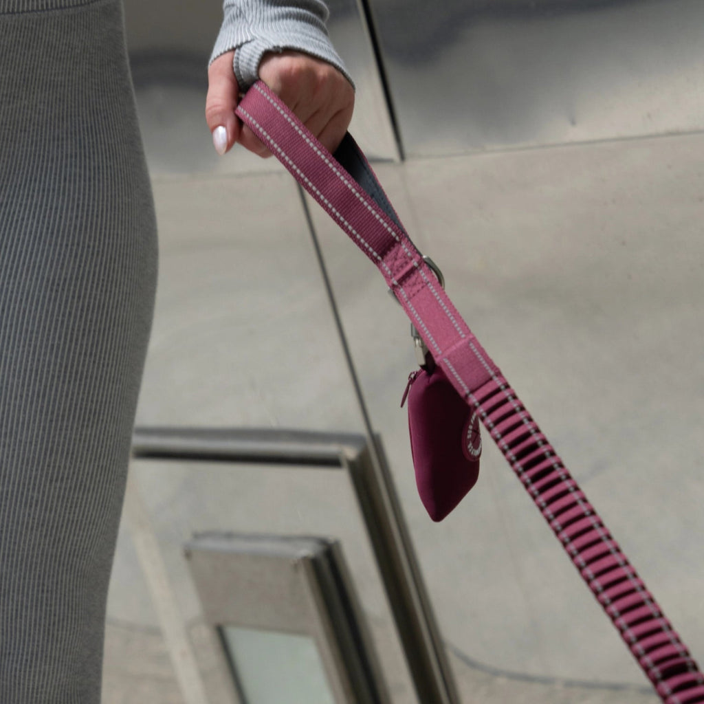 Bungee Dog Leash product image 5