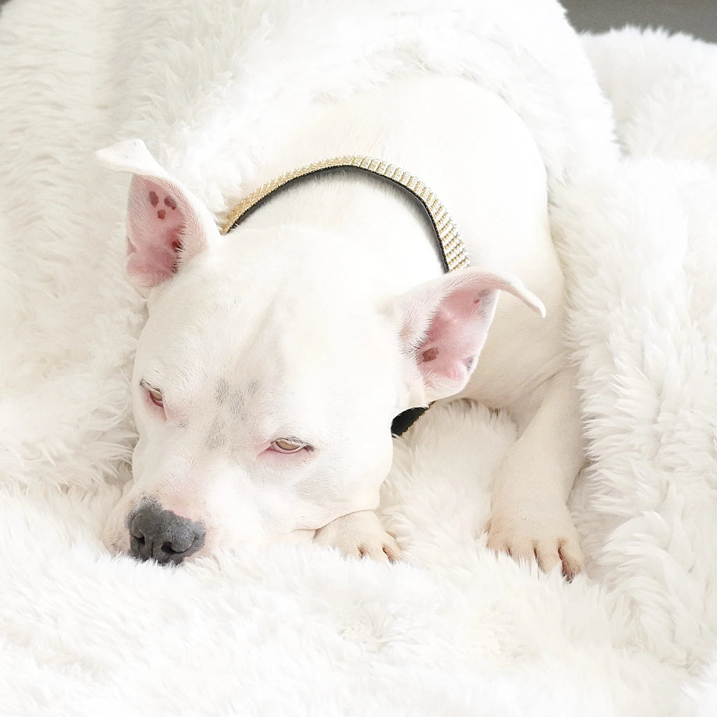 Waterproof Dog Blanket product image 5