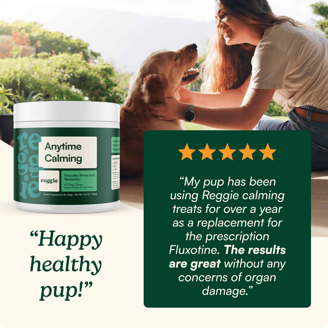 Dog Calming Supplement Chews product image 5