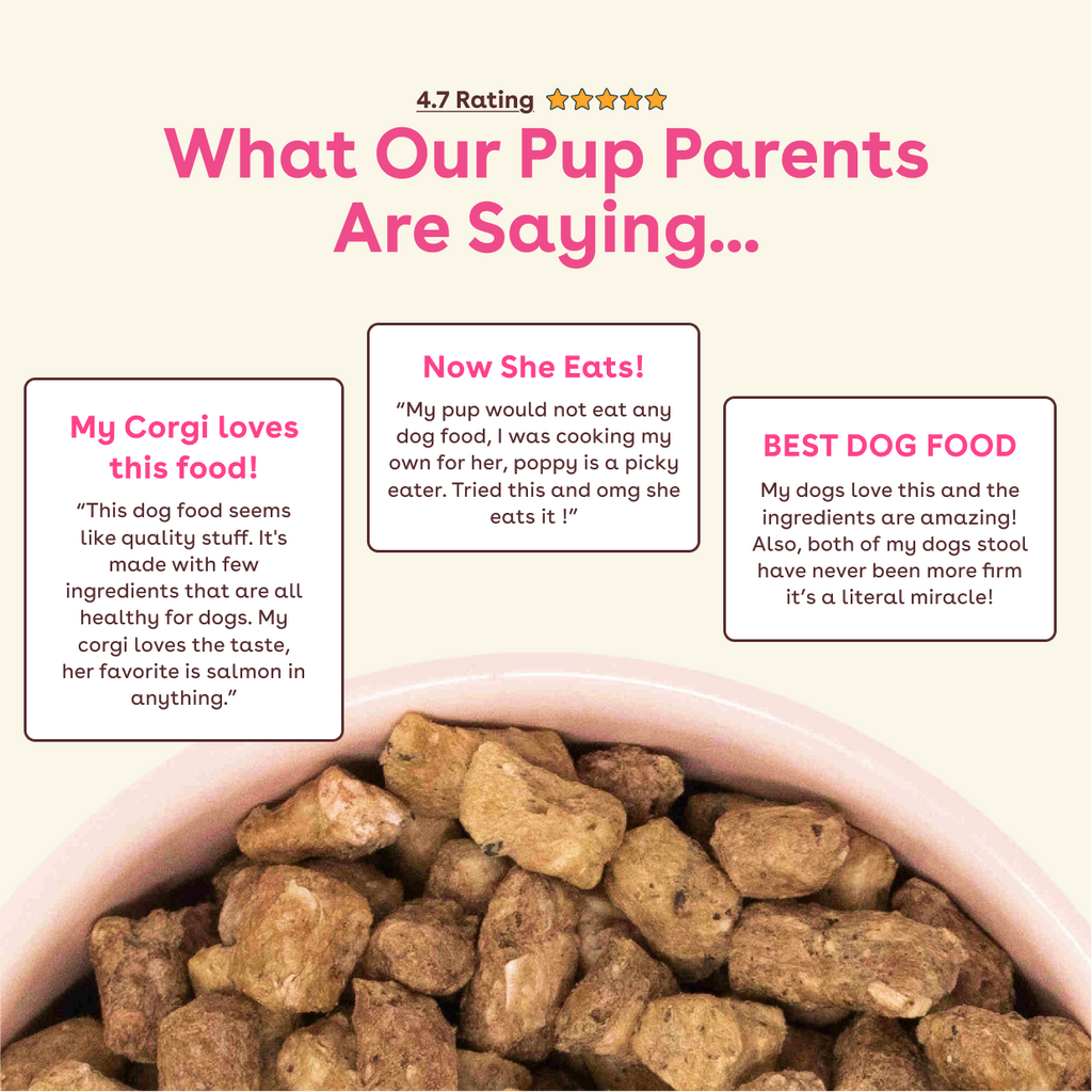 Freeze-Dried Dog Food product image 5