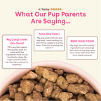 Freeze-Dried Dog Food product image 5