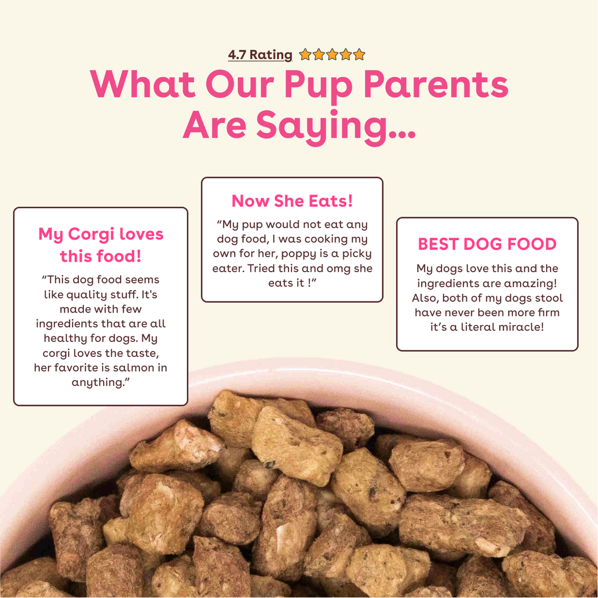 Freeze-Dried Dog Food product image 5