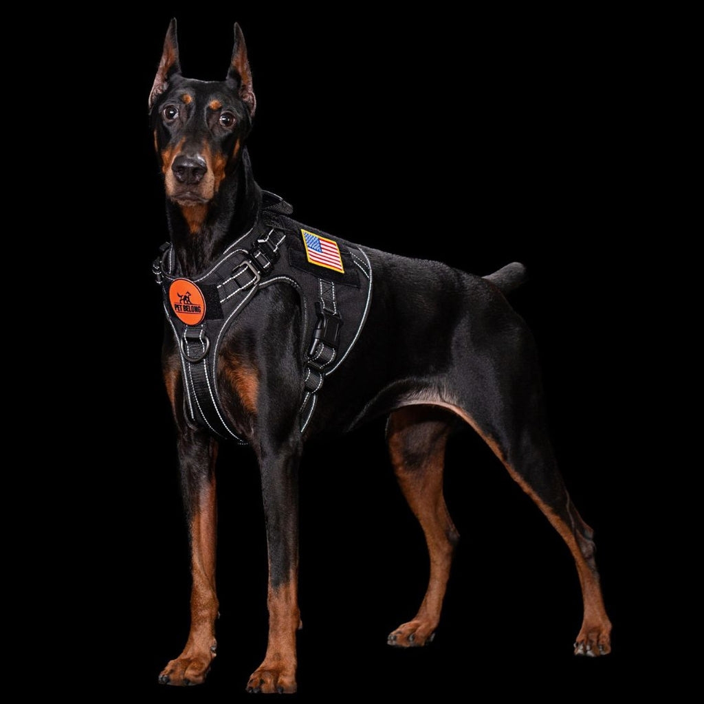 Tactical No-Pull Dog Harness product image 5