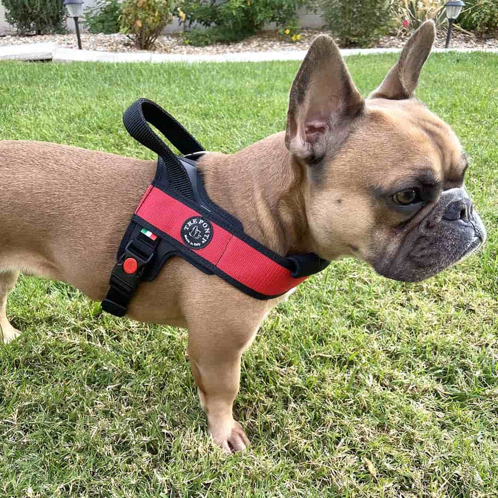 Dog Harness product image 5