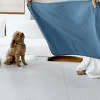 Dog Cooling Mat product image 5