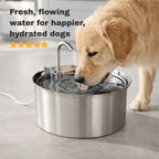 Dog Water Fountain product image 5