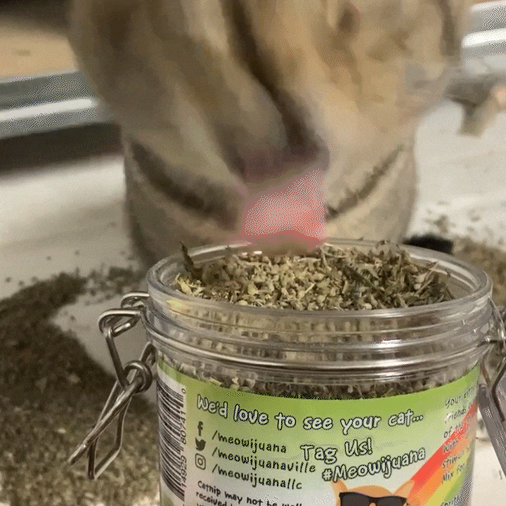 Catnip Mix product image 5