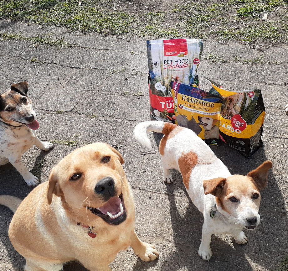 Kangaroo and Ocean Fish Dry Dog Food product image 5