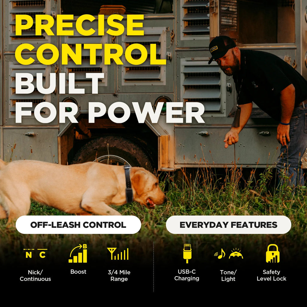 Remote Dog Training Collar product image 5