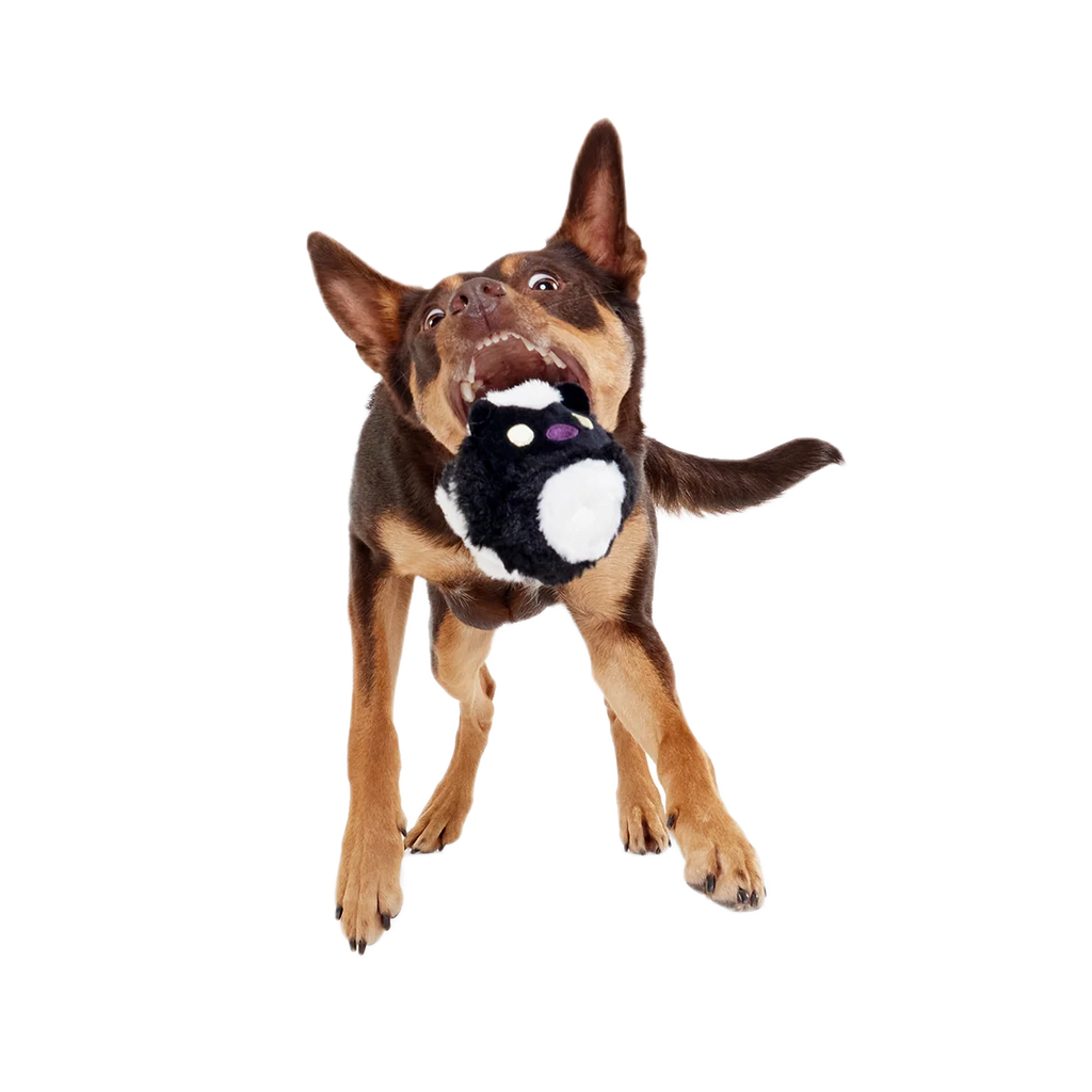 Dog Fetch Toy product image 5