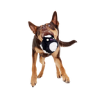 Dog Fetch Toy product image 5