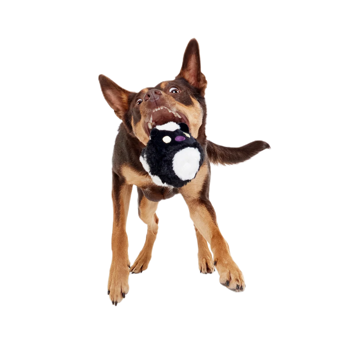 Dog Fetch Toy product image 5