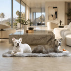 Dog Beds product image 5