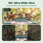Smart Bird Feeder product image 5