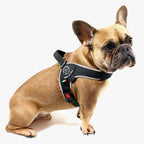Dog Harness product image 5