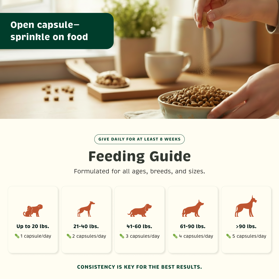 Pet Probiotic product image 5