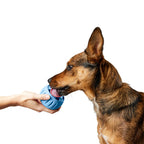 Dog Treat Toy product image 5