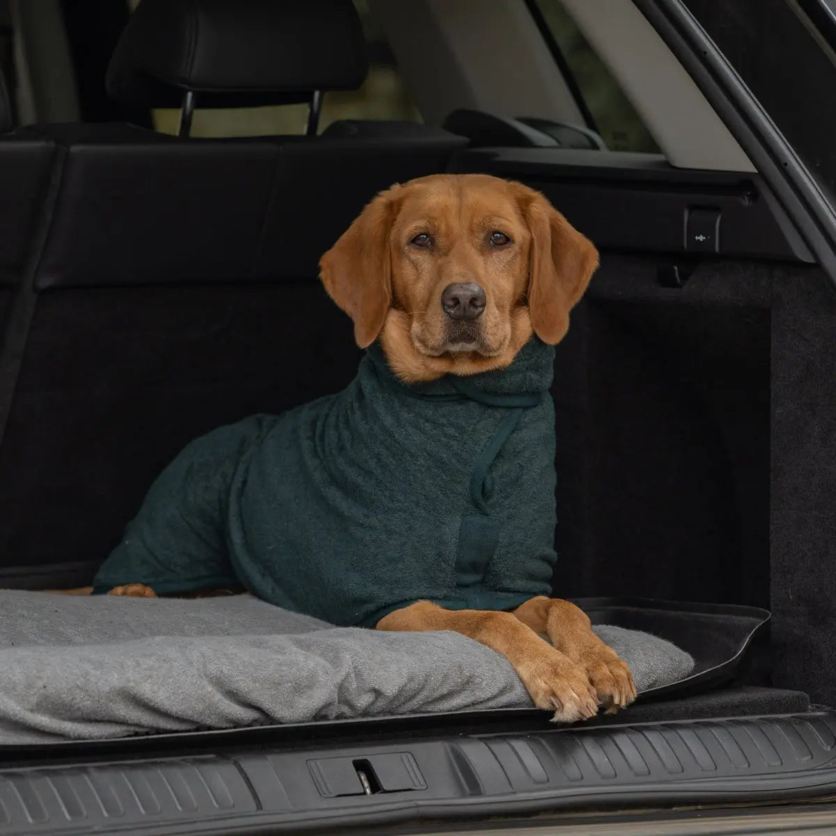 Dog Drying Coat product image 5