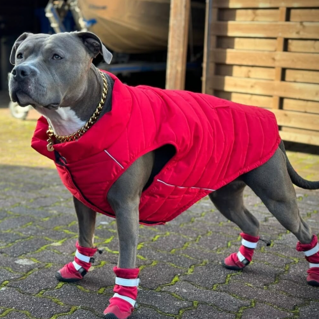 Waterproof Dog Boots product image 5
