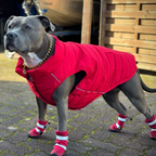 Waterproof Dog Boots product image 5