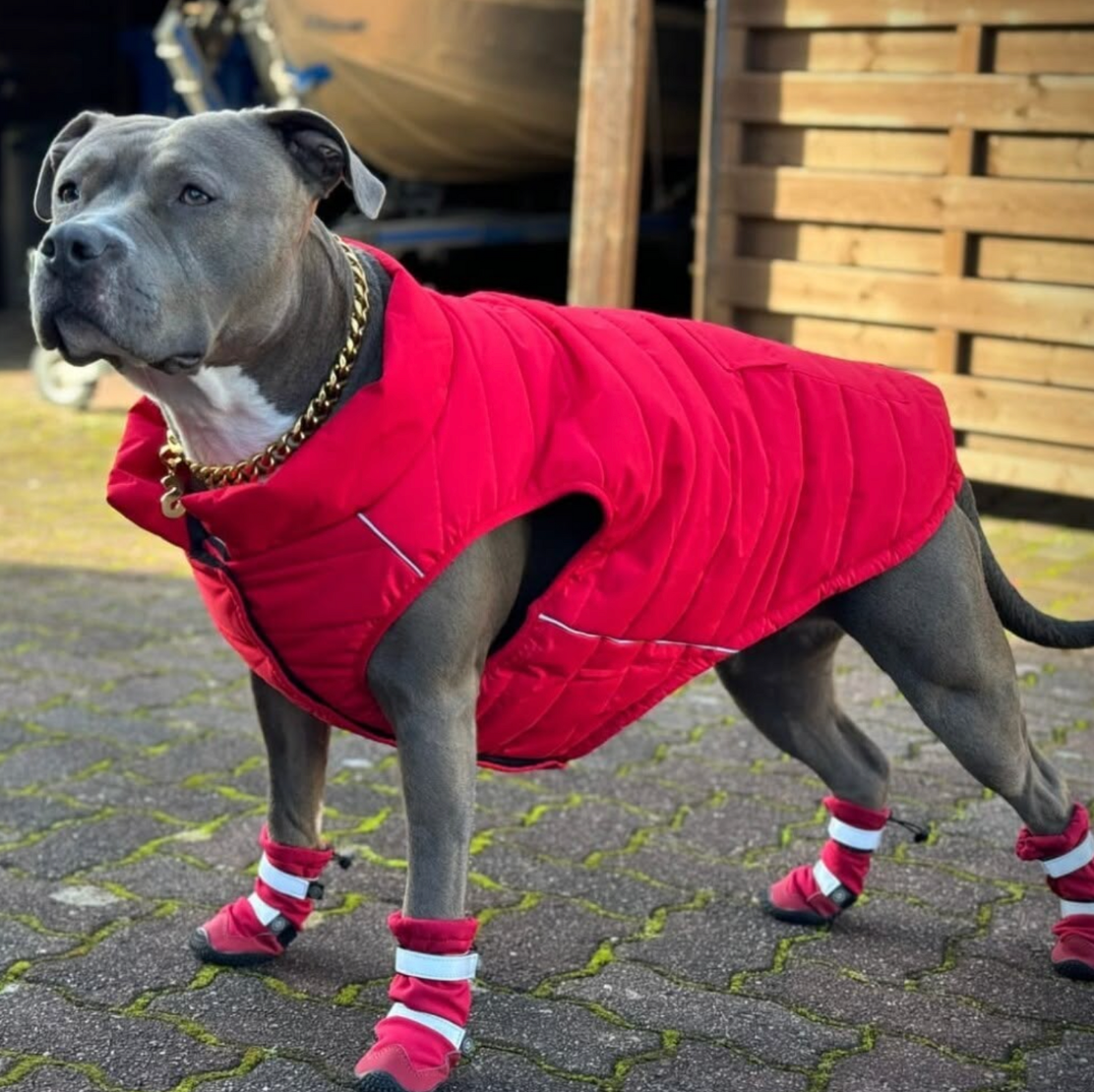 Waterproof Dog Boots product image 5