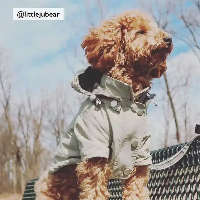 Dog Raincoat product image 5
