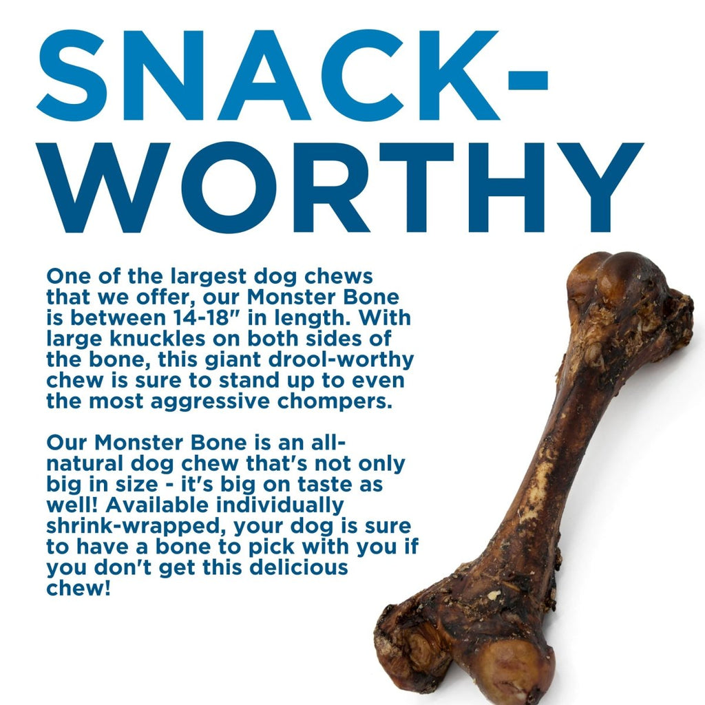 Large Beef Femur Bone Dog Chew product image 5