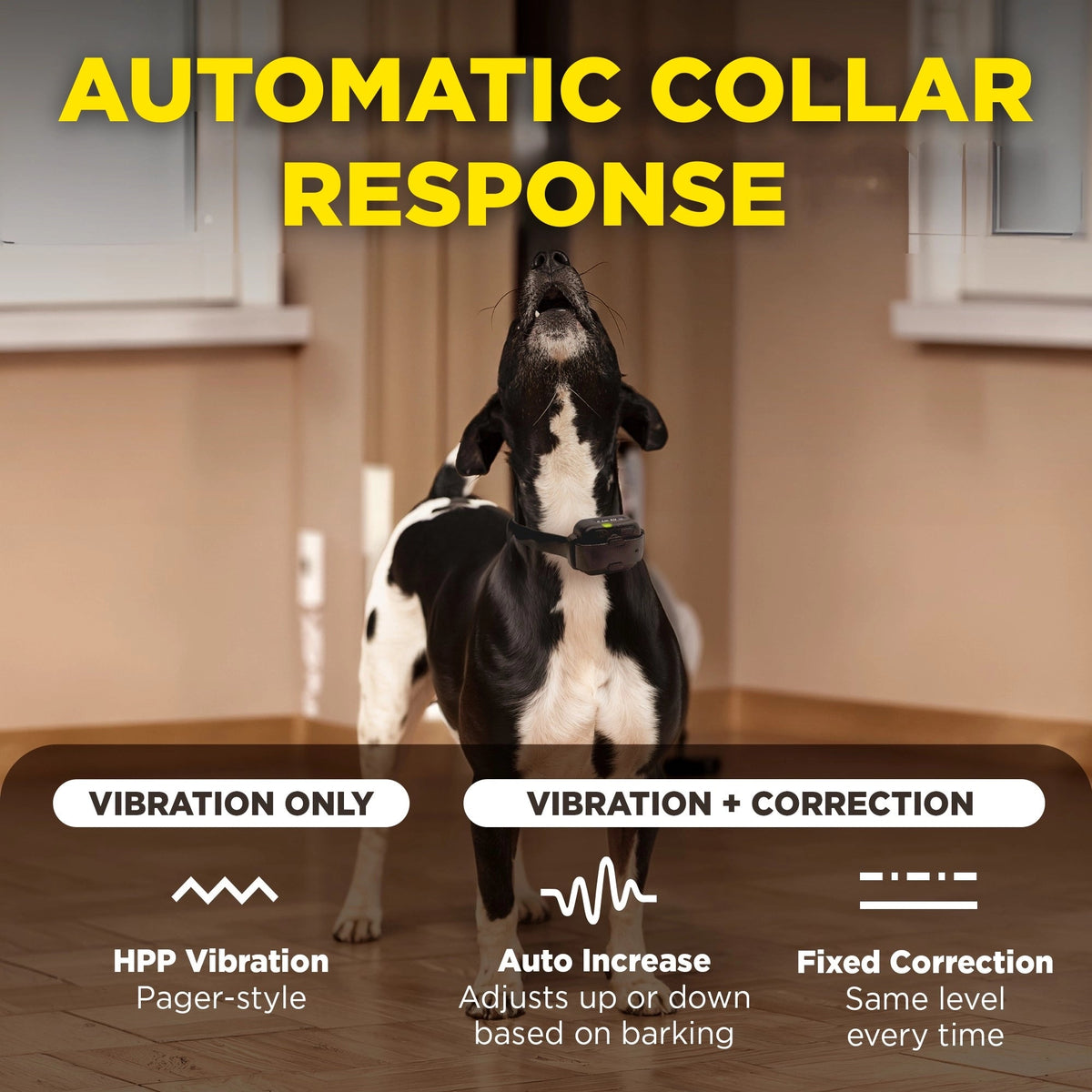 No-Bark Dog Collar product image 5