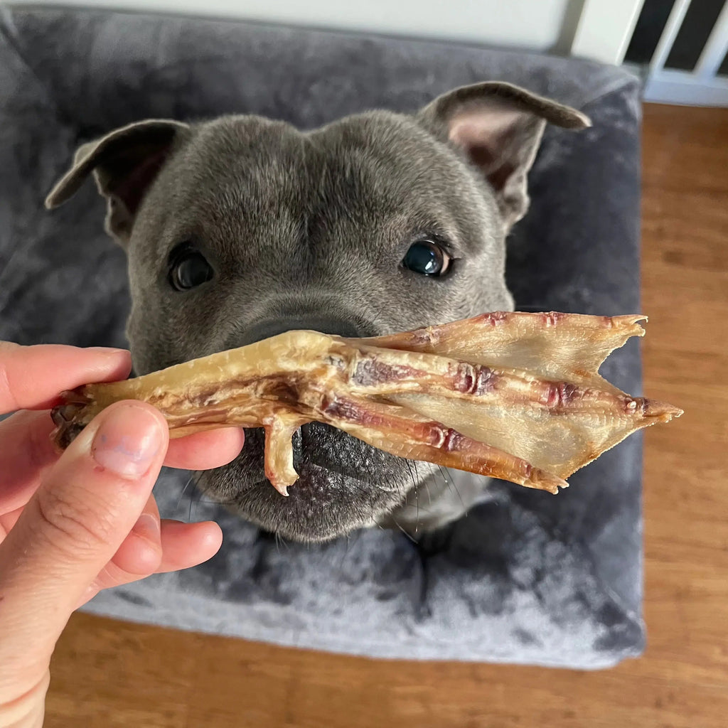 Natural Dog Treat Bundle product image 5