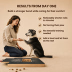 Dog Nail Board product image 5