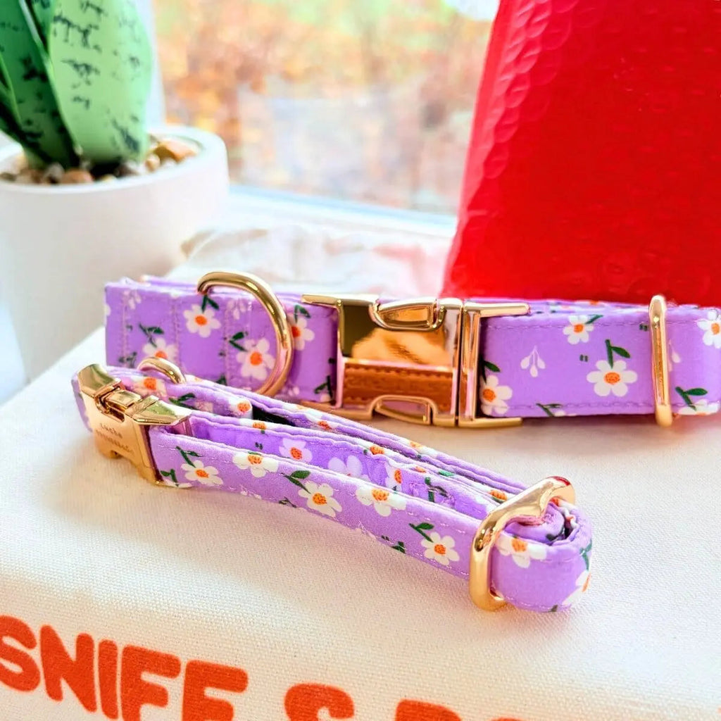 Dog Collar product image 5