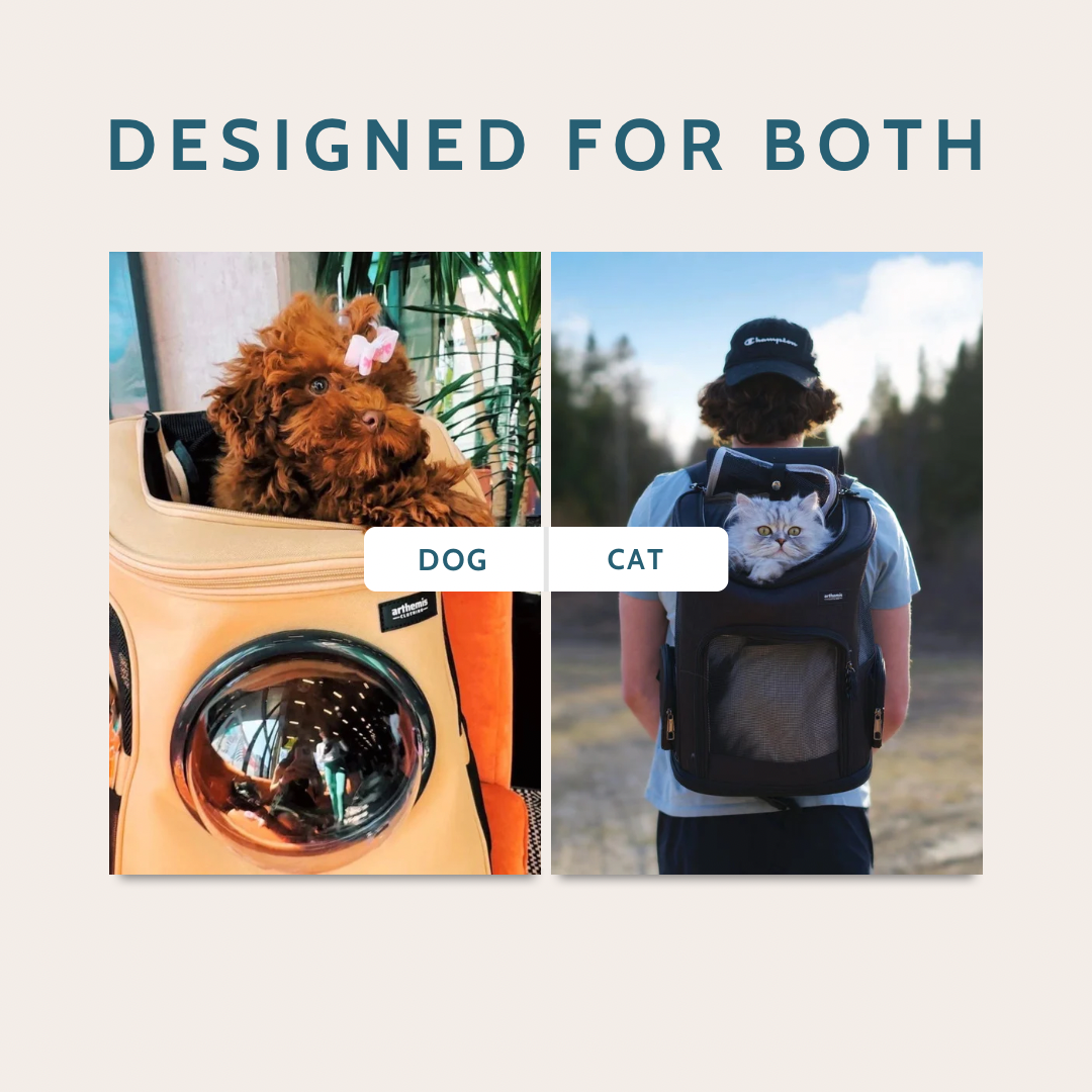Large Pet Backpack Carrier product image 5