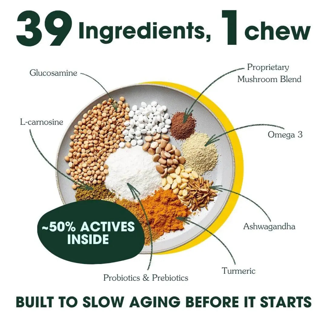 Adult Dog Multivitamin product image 5