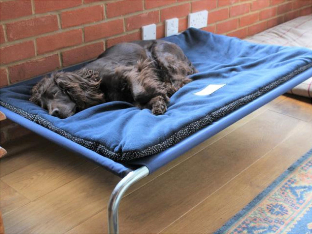 Raised Dog Bed product image 5