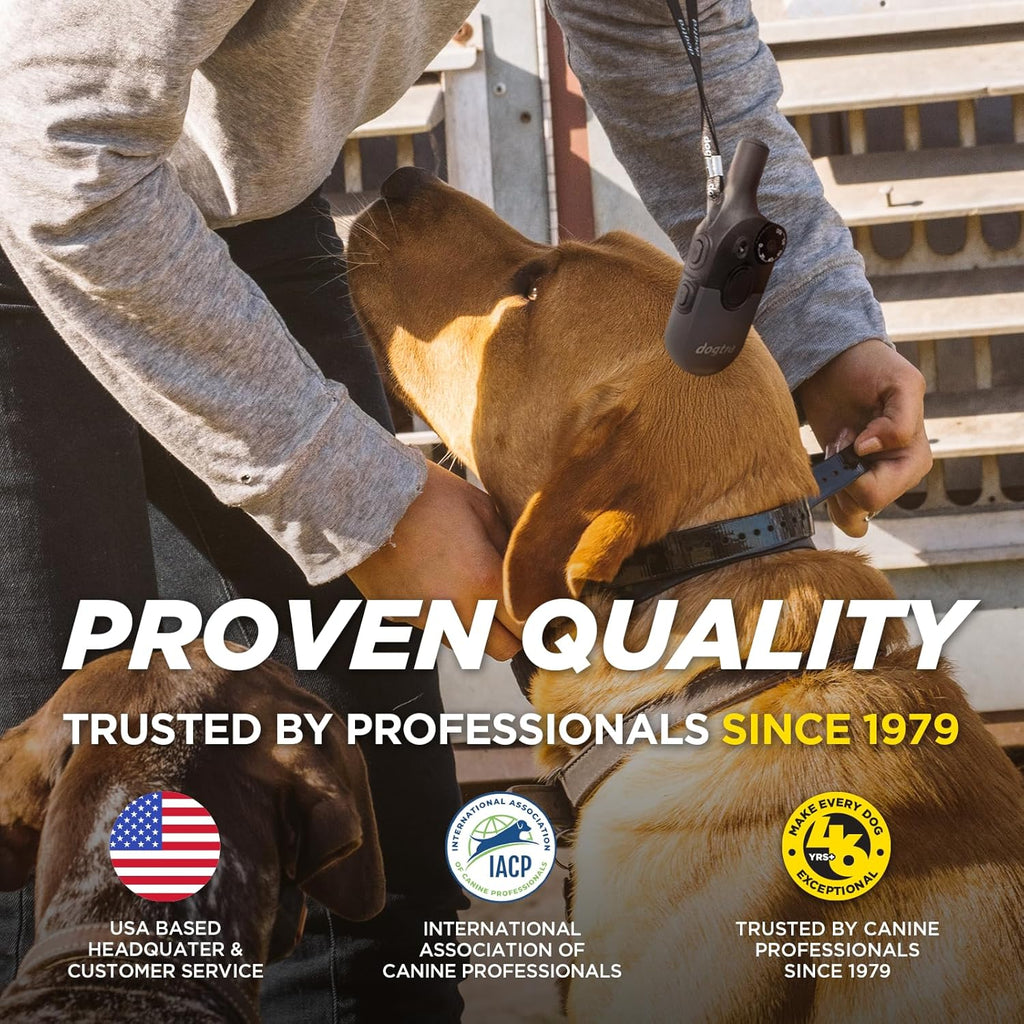 Dog Training Collar product image 5