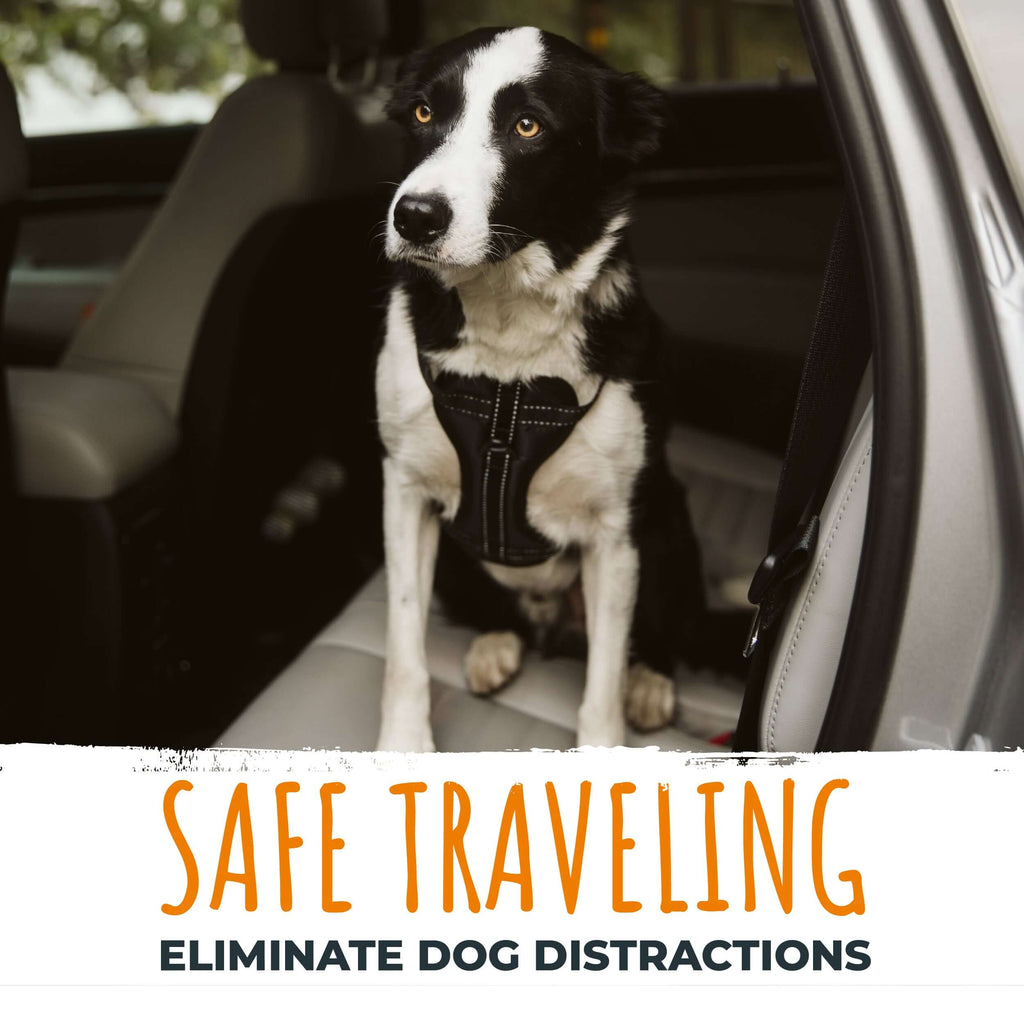 Dog Seat Belt Tether product image 5