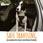 Dog Seat Belt Tether product image 5