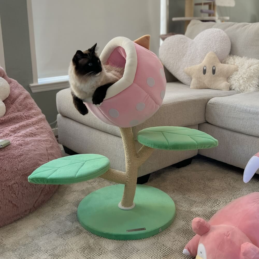 Cat Trees & Scratchers product image 5