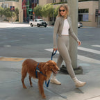 Bungee Dog Leash product image 5