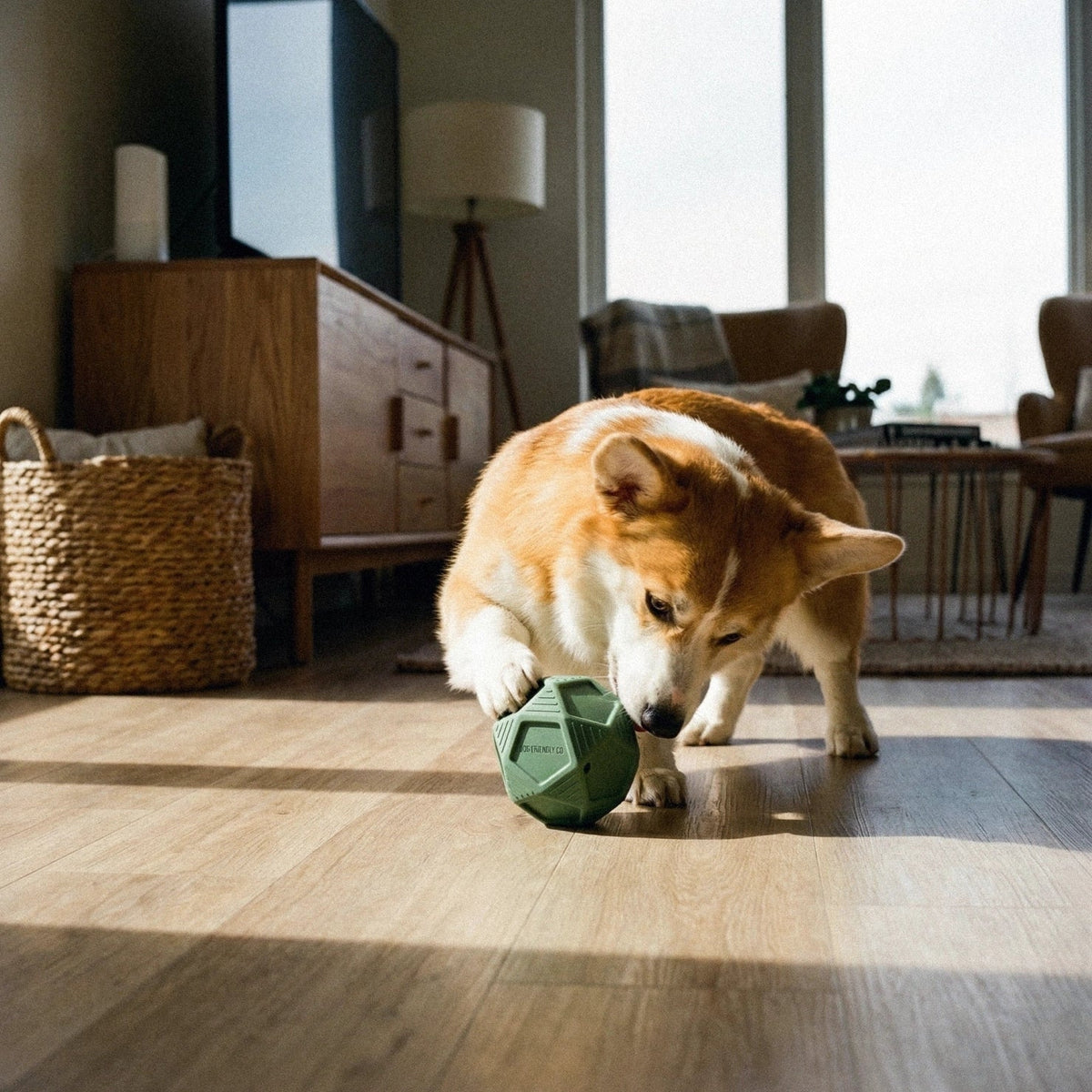 Treat-Dispensing Dog Ball product image 5