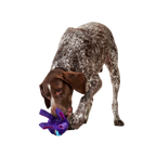 Two-Layer Tug Dog Toy product image 5