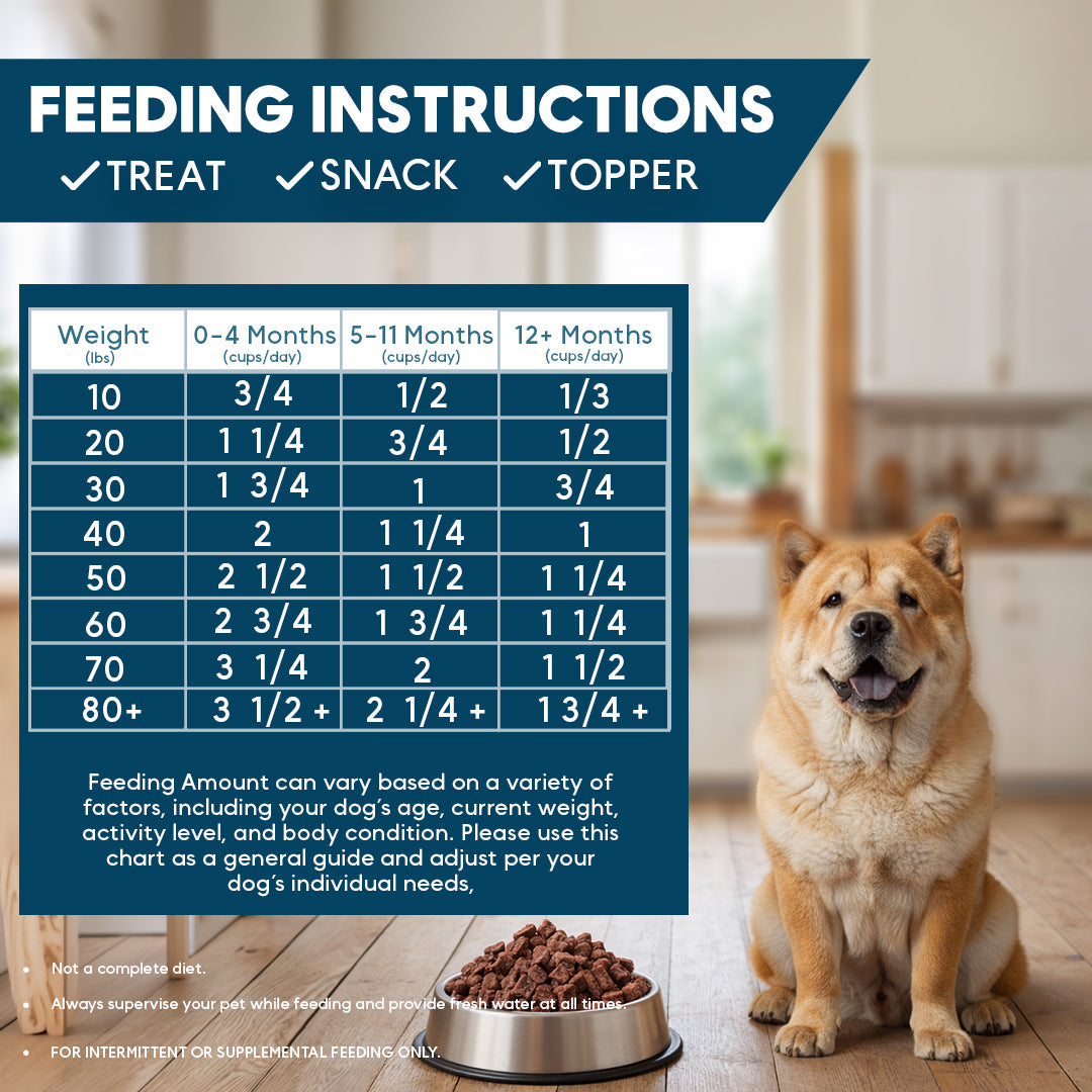 Freeze-Dried Dog Food product image 5