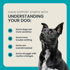 Calming Dog Supplement product image 5