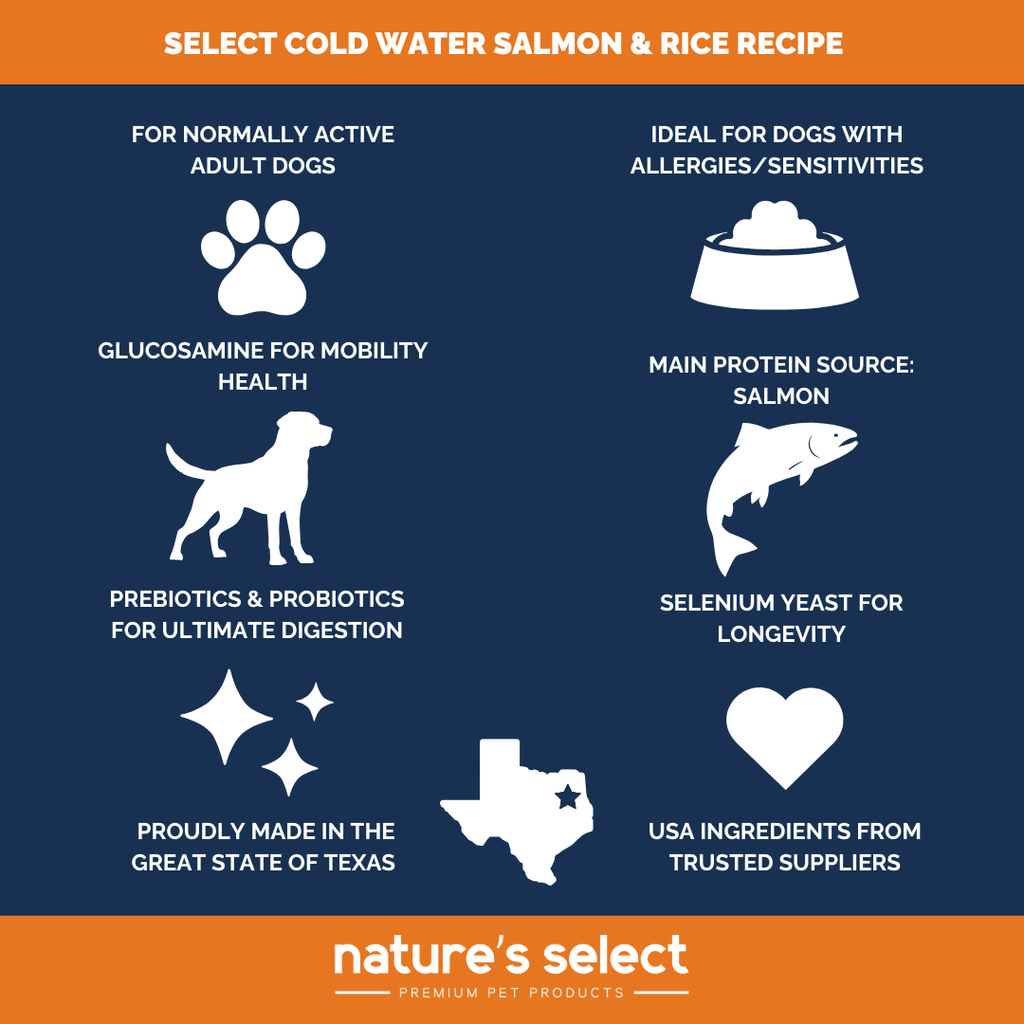 Dry Dog Food product image 5