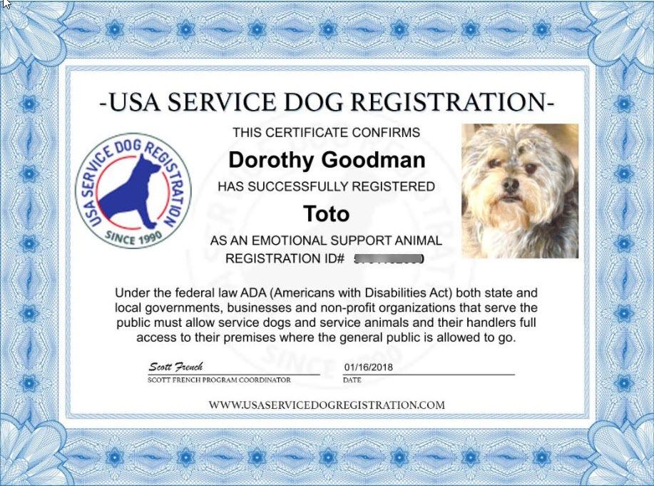 Support Dog Vest Package product image 5