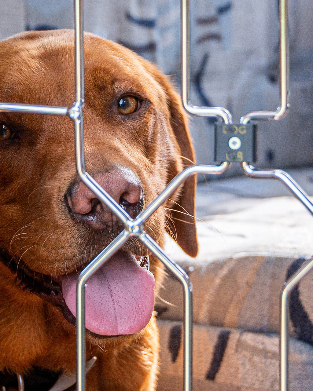 Retractable Dog Gate product image 5