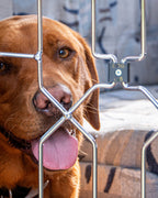 Retractable Dog Gate product image 5