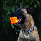 Rubber Dog Toy product image 5