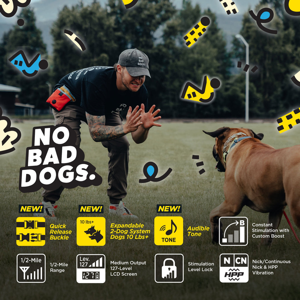 Remote Dog Training Collar product image 5