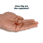 Dog Joint Supplement product image 5